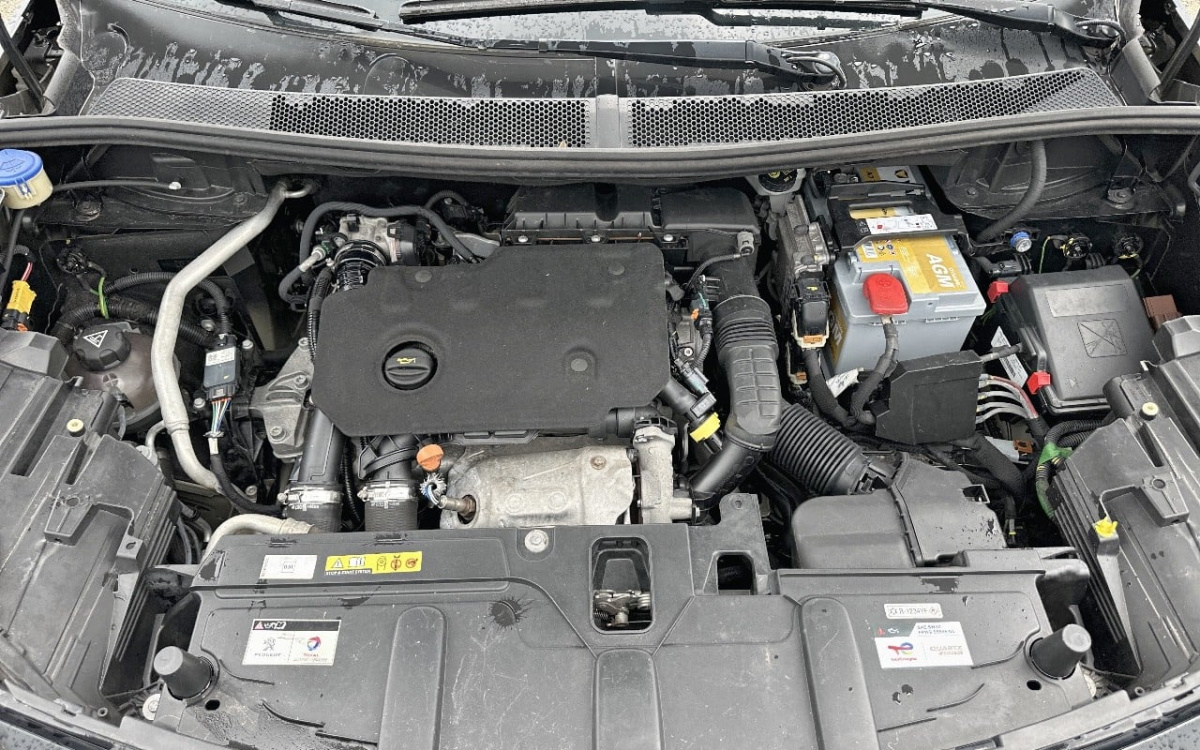 619acd28-d269-4ec4-a287-bb752dffe849.jpg